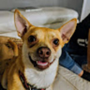 Meet your Posher, Francesco